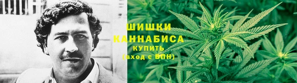 гидропоника Алзамай