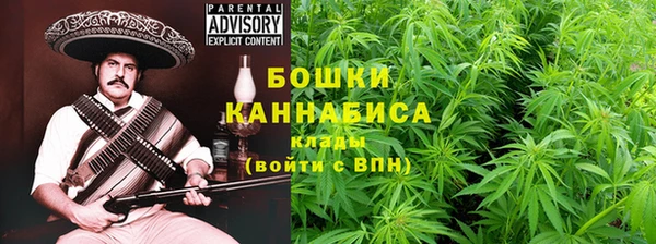 гидропоника Алзамай