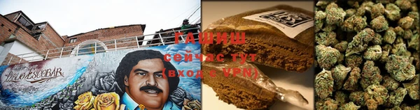 стафф Волоколамск